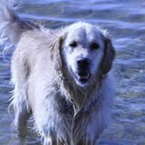 Foto van Romy love kaya