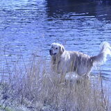 Foto van Romy love kaya