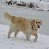 Foto van Romy love kaya