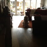 Foto van Romy love kaya