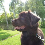 Foto van Jeanine :)