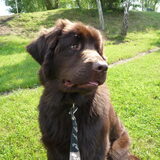 Foto van Jeanine :)