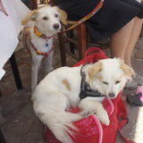 Foto van Taiko & Kiya Thalassa
