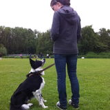 Devlin op de hondenschool met mij. Precies 1 jaar jong!
