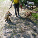 Foto van Gwenn