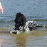 Foto van @nita & hoby