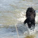 Foto van @nita & hoby