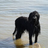 Foto van @nita & hoby