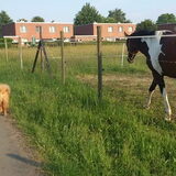 De vriend van zoeri =D