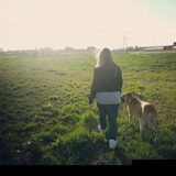 Wandeling