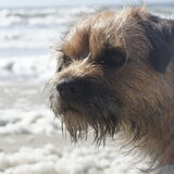 Zee en zand @ Texel