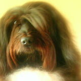 Poefzieeeee :) I