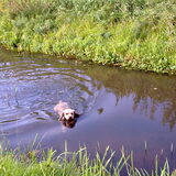 Zeehondje?