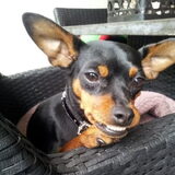 Foto van Phylicia scooby en ukkie:)