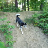 Foto van Jeanine :)