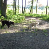 Foto van Jeanine :)