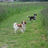 met neef Tibbs