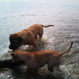 erra en sofie...