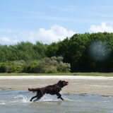 Foto van Jeanine :)