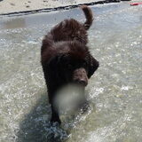 Foto van Jeanine :)