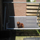Foto van Eva & Yools