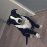 the love of my life