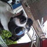 ben al flink gegroeid