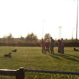 training