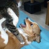Pip en Chuck