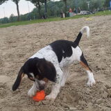 Foto van Annette