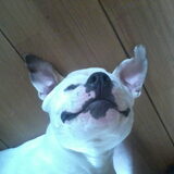 hihihihi onze Gremlin