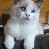Foto van Jeanine :)