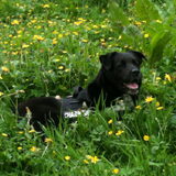 Lekker in het gras