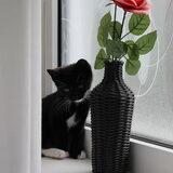 Foto van Vivian   <3    Sem