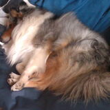 Lekker relaxen