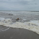 Foto van janny