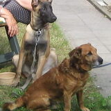 lady met buurhondje.. echte maatjes ,,, jong en oud,,