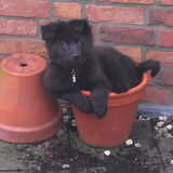Oude foto, maar zo schattig!