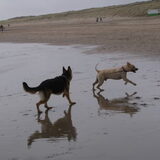 Foto van Nathalie