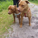 Foto van Gwenn