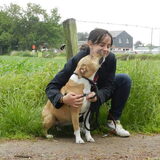 Samen met Pixie, weer in het asiel :'(