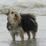 Dagje aan zee :-D