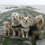 Met z'n alle poseren voor de foto