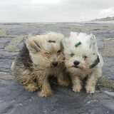 Wat een wind aan zee :-O
