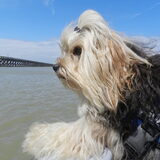 Taiko vond het echt geweldig op de boot !!! Dempsey daarentegen moest…