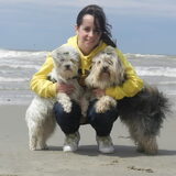 Met Dempsey en Taiko voor de zee :-)