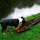 13 0kt 09 lekker ravotten