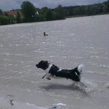 Zwemmen!!