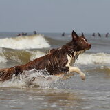 Foto van Sophie