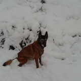 Luca in de sneeuw